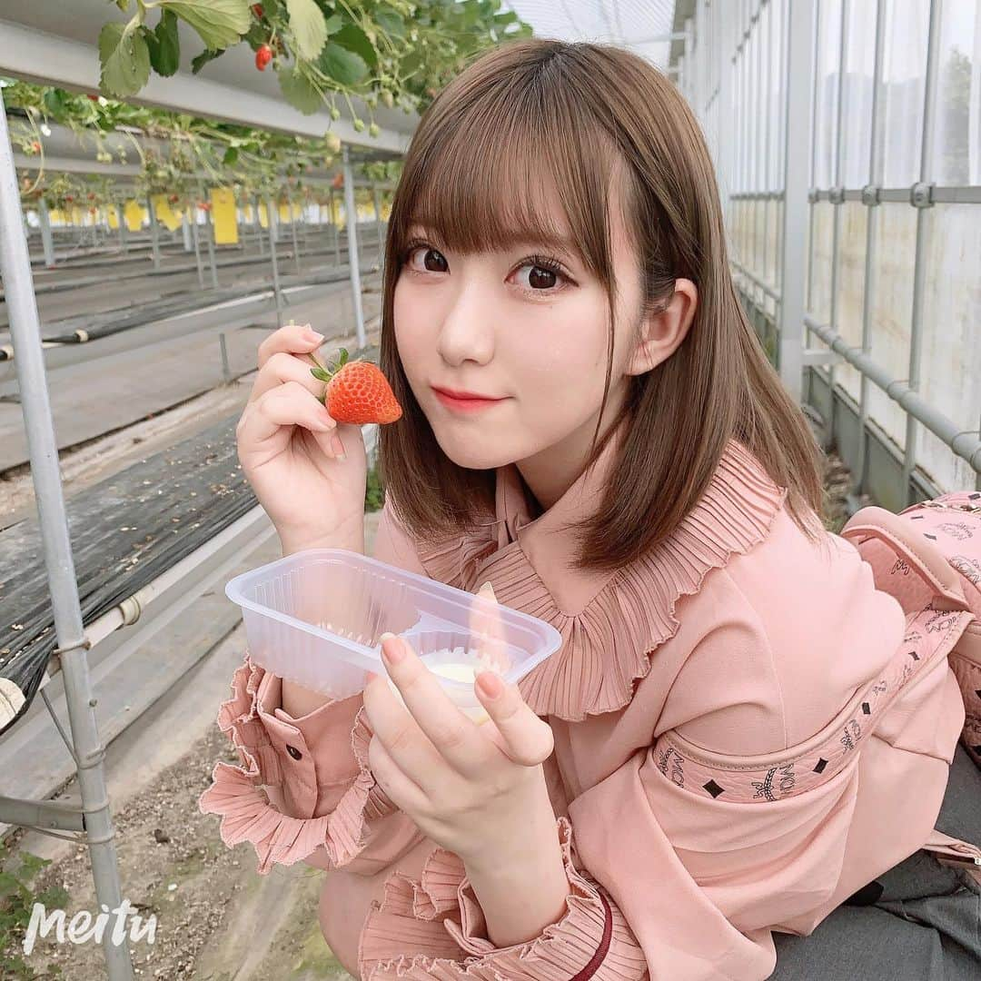 水野愛理さんのインスタグラム写真 - (水野愛理Instagram)「いちご飴作るの面倒くさくてやめてしまった、、 明日は絶対作ります  #いちご飴  #いちご狩り  #他撮り  #高校生  #JK」4月5日 21時27分 - mizunoairi_ske48