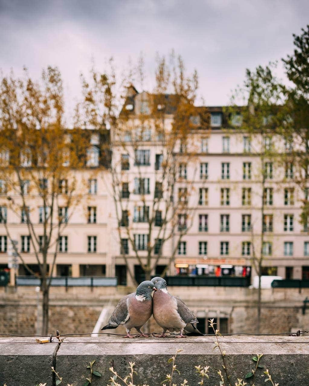 VuTheara Khamさんのインスタグラム写真 - (VuTheara KhamInstagram)「Paris and Lovers 💏 It's series of candid shots taken in Paris these last years. #stayathome」4月5日 21時51分 - vutheara