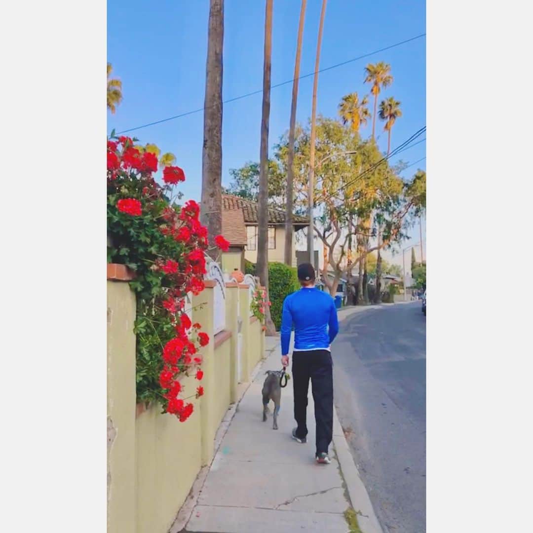 キャメロン・モナガンのインスタグラム：「Dog Go」