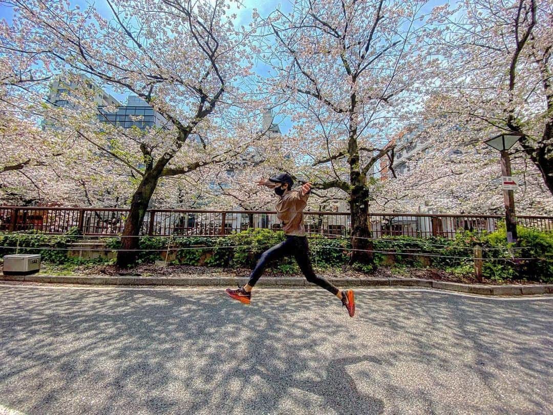 渡辺由布子さんのインスタグラム写真 - (渡辺由布子Instagram)「🌸 ・ 桜流し。  残念ながら今年は 日本の桜を観ることが 叶わなかった 海外在住のお友達に おすそわけ。 どうか届きますように。  #桜納め #お花見 #花見ラン #中目黒 #cherryblossom  #fullbloom  #sakura #running  #jump  #spring #stayhome  #stayhealthy  #staymoving #quarantine  #DiscoverJapan ・ ・ 📍#MeguroRiver #Nakameguro #🇯🇵」4月5日 22時19分 - watanabe_yuko