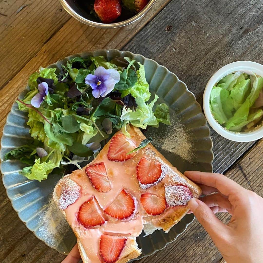 ayumiのグルメインスタ