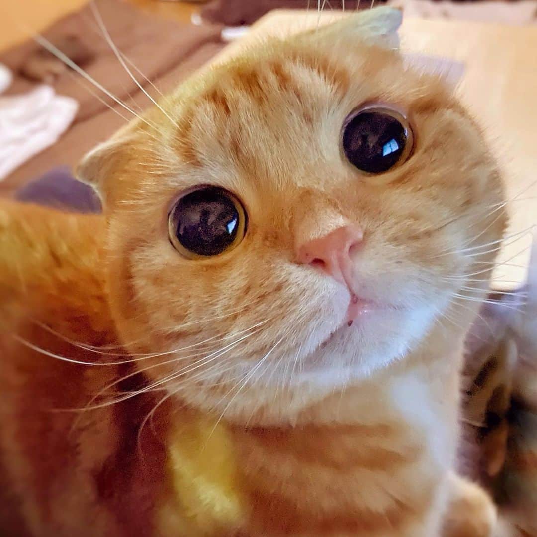 ashmiemuのインスタグラム：「Birthday boy . #8 #LongTimeNoSee」