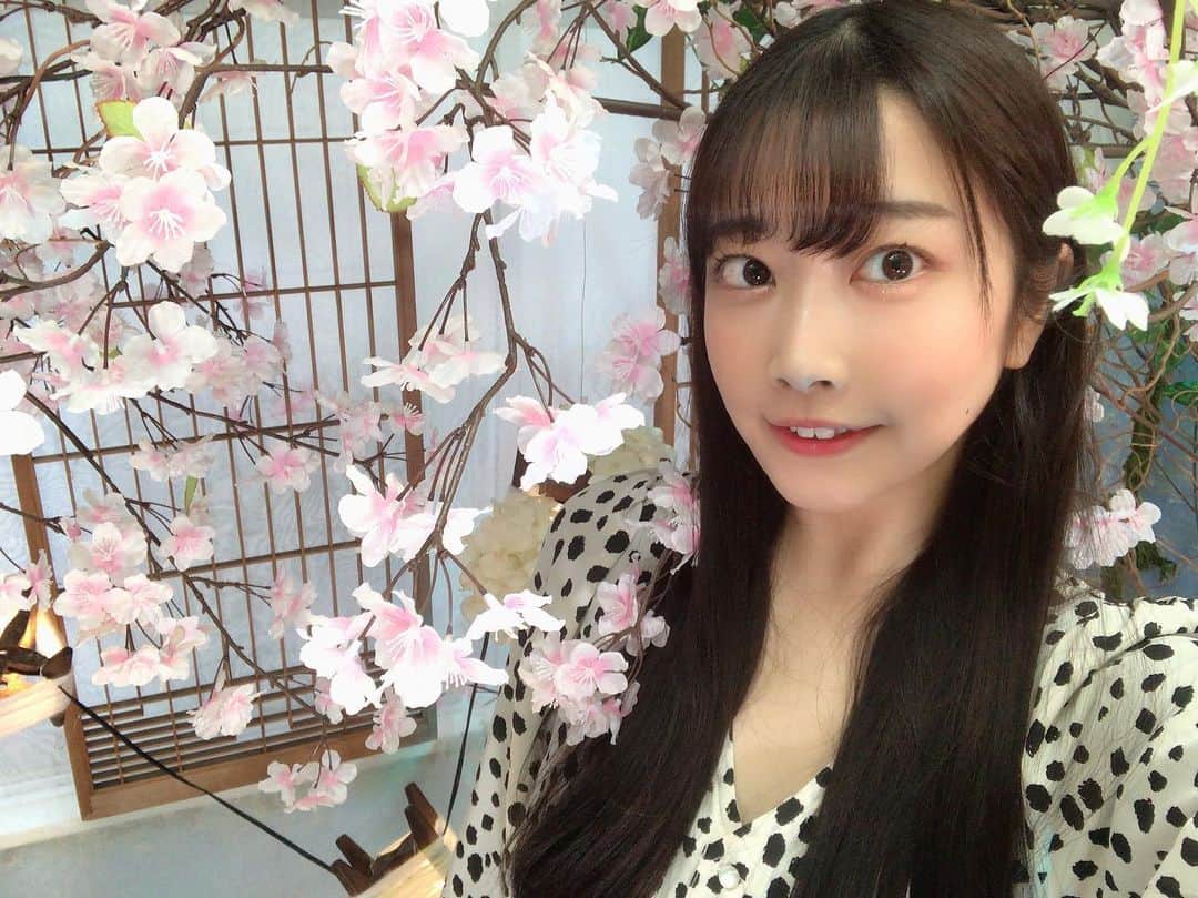 西井綾音のインスタグラム：「. みんなはどんなお家時間をすごしてますか？？🌸 . . . . . . . . . . . . #ポートレート #西井綾音 #コスプレ #コスプレイヤー #インスタグラビア #撮影会モデル  #アニメ好きな人と繋がりたい #レースクイーン  #cosplay  #cosplaygirl #cosplayer  #chinagirl #idol #animecosplay #kawaii #kawaiigirl  #coser #japanesegirl #model #anime  #otaku  #lfl #likeforfollow #l4l #角色扮演  #粉我 #动漫 #코스프레 #性感」