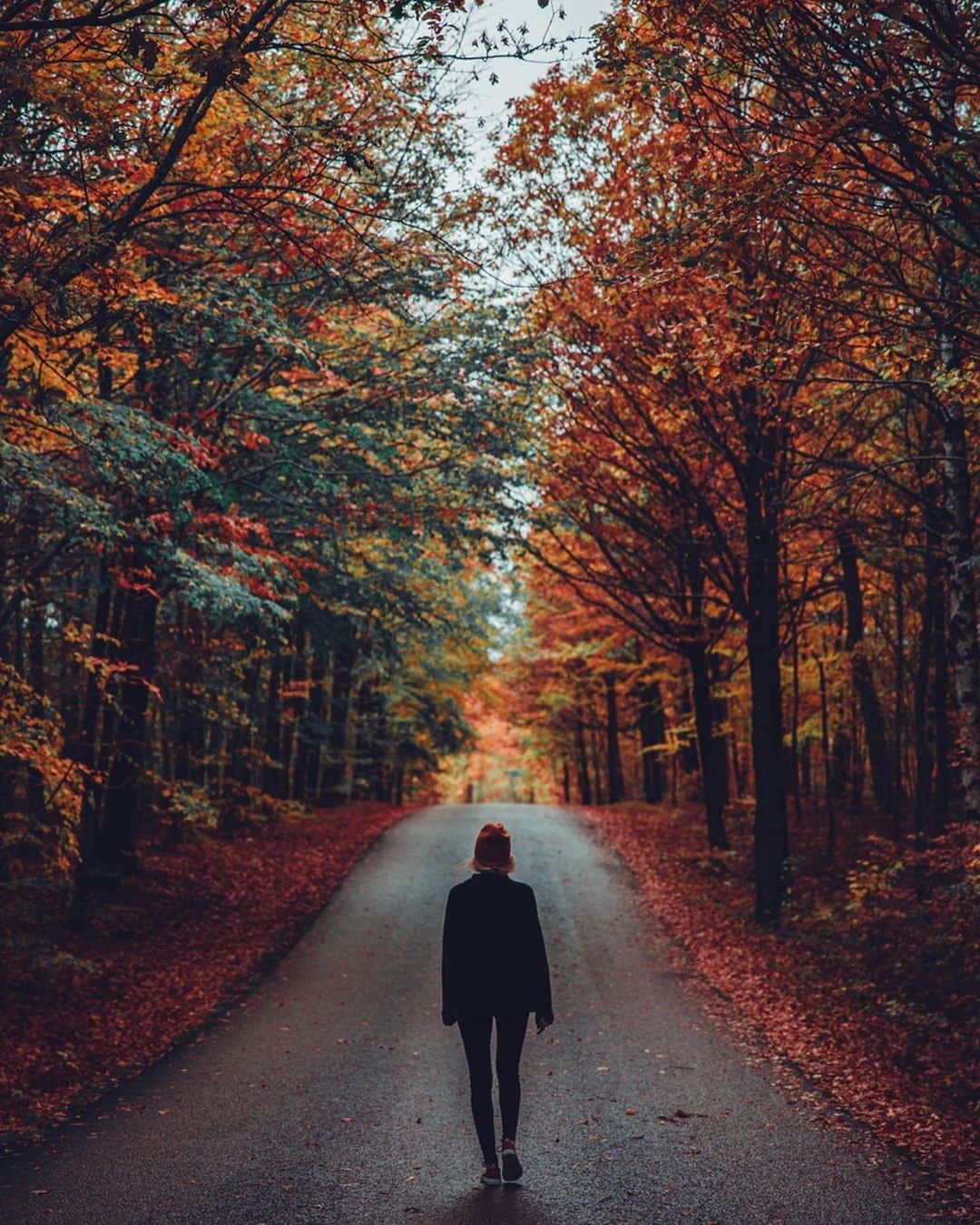 Linda Lomelinoさんのインスタグラム写真 - (Linda LomelinoInstagram)「Guys!! Guess what? I created presets for Lightroom and Camera Raw! Made for nature and dark food photography and they are now for sale on my site -lindalomelino.com. I seriously couldn’t be more happy with them! I’ve been working on this for months - making the presets the best they can be, creating videos, an installation guide and a pdf and testing them on a few friends 🥳 They are now ready for you too! There are three sets - two smaller collections with 5 in each, one with Nature presets and one with Dark Food presets. And one Full Collection with 15 presets which includes both the Dark food and Nature presets. Also included is an alternative way of editing - with profiles (I’ll show you in stories). Swipe for some before and afters. I’ll also post more in Stories if you’re interested. Link to the presets in my profile - 10% off until Friday 🥰 Hope you like them!  #camerarawpresets #lightroompresets #photopresets」4月5日 23時17分 - linda_lomelino