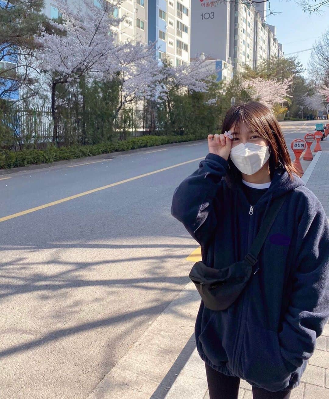 パク・ミンジのインスタグラム：「벚꽃 주웠다-🌸 모두들 잘 계시는지요?ㅎ」