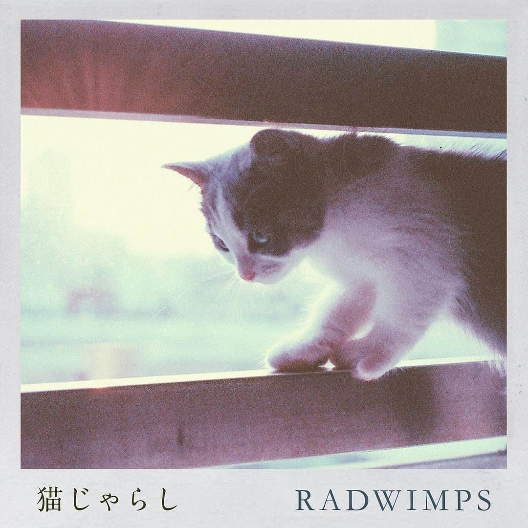 RADWIMPSさんのインスタグラム写真 - (RADWIMPSInstagram)「新曲「猫じゃらし」、iTunes、レコチョク他主要サイトにて配信スタートしました。 ※現在「キリン 午後の紅茶」CMで流れている楽曲は「猫じゃらし (Orchestra ver.)」となります。﻿ ﻿ https://umj.lnk.to/radneko﻿ ﻿ #RADWIMPS﻿ #猫じゃらし﻿ #いざ僕らで行こうぜ ﻿ ﻿ ﻿ “Nekojarashi” is now available digitally worldwide!﻿ (Release time may vary by areas and services)﻿ ﻿ https://linkco.re/bBT2zpE0」4月6日 0時02分 - radwimps_jp