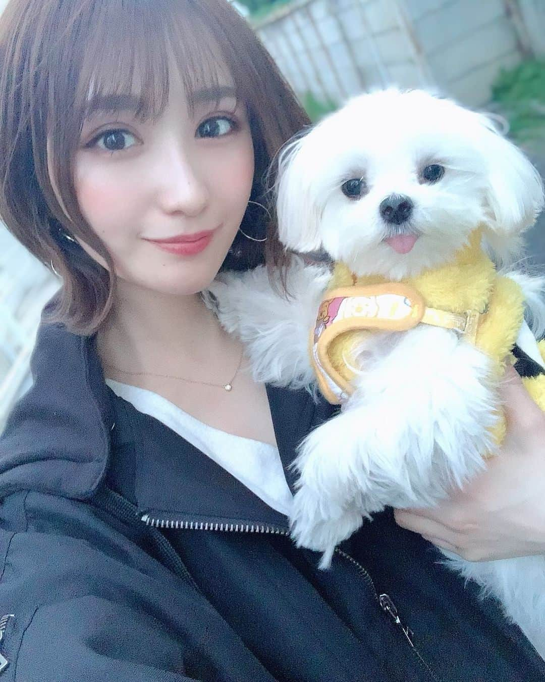 伊藤愛真さんのインスタグラム写真 - (伊藤愛真Instagram)「だいぶ前のやつ🐶 .  今は家でできることをたくさん考えて 黙々と作業してるよ。 . とにかくみんなとお話がしたい、、 コメント返します😚💕 . 早く落ち着きますように」4月5日 23時56分 - __emagram