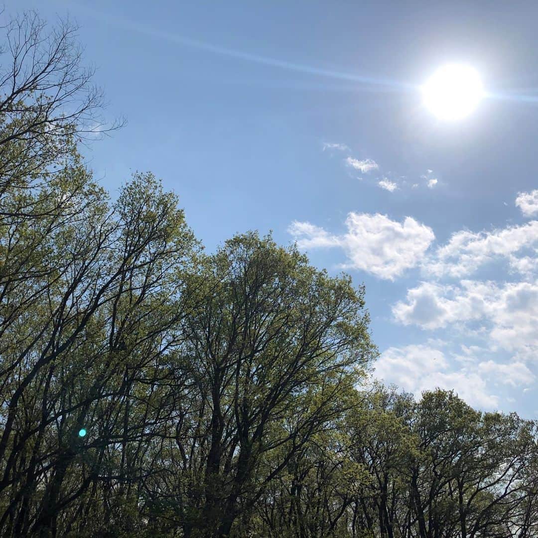 福田友理子さんのインスタグラム写真 - (福田友理子Instagram)「* * 4月4日は二十四節気の一つ、清明でした☘  清浄明潔（しょうじょうめいけつ）の略で、 * 「空気は澄んで、陽の光は明るく万物を照らし、全てがはっきりと鮮やかに見える」頃のこと✨ * 桜はじめ、色々な植物が芽吹き、咲く季節🌸🌿 * コロナウイルスの感染拡大で外出できず、外の変化に気づきにくい今日この頃ですが、 * 人混みを避け、マスクにメガネで注意しながら家族と少しだけ誰もいない公園を歩いてみました🚶‍♀️ * （ジムも閉まり、運動不足問題も深刻ですね💦） * 桜が散り始め、新しい新芽がチラホラ芽吹き出し、キラキラすごく綺麗でした🌱✨ * 私たちの生活も、１日も早く、 清浄明潔（しょうじょうめいけつ）「空気は澄んで、陽の光は明るく万物を照らし、全てがはっきりと鮮やかに見える」 ようになって欲しいです🌱☘️🌿🌈 * * #清明 #清浄明潔 #二十四節気 #散歩 #コロナに負けるな」4月6日 0時00分 - yuriko.fu