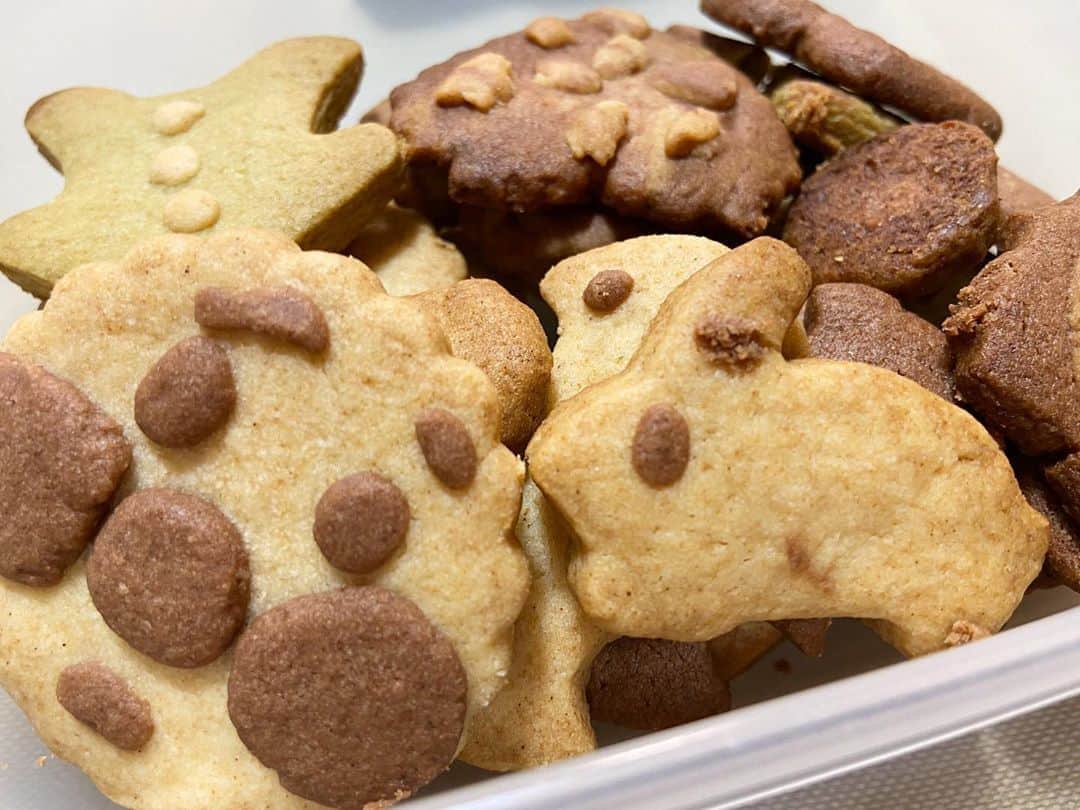 荒尾茉紀のインスタグラム：「先日、3歳なりたての姪っ子とクッキー作りしました🍪しっかり手を消毒しながら😊1週間前の今日（日曜）は、シドニーで仕事してたなぁと思うと不思議な気分です😅ちょうどその頃のオーストラリアは、飲食店はテイクアウトのみ、人との距離は1.5メートル、そして新たなルールとして家族以外の集会は２人まで（3人でスーパーに行くのもNG）などが始まったタイミングで罰金も…１日に300人くらい感染者が増えていた記憶があります💦そんな1週間前と比べると、今のオーストラリアの1日の感染者数は3分の1ほどに減。一方で、日本はカナリ増。各国の数字をチェックする…という悲しい日課ができました😢  #stayhome #niececooking #コロナウイルスが早く終息しますように」