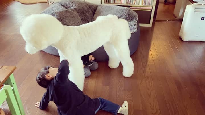 たまねぎのインスタグラム