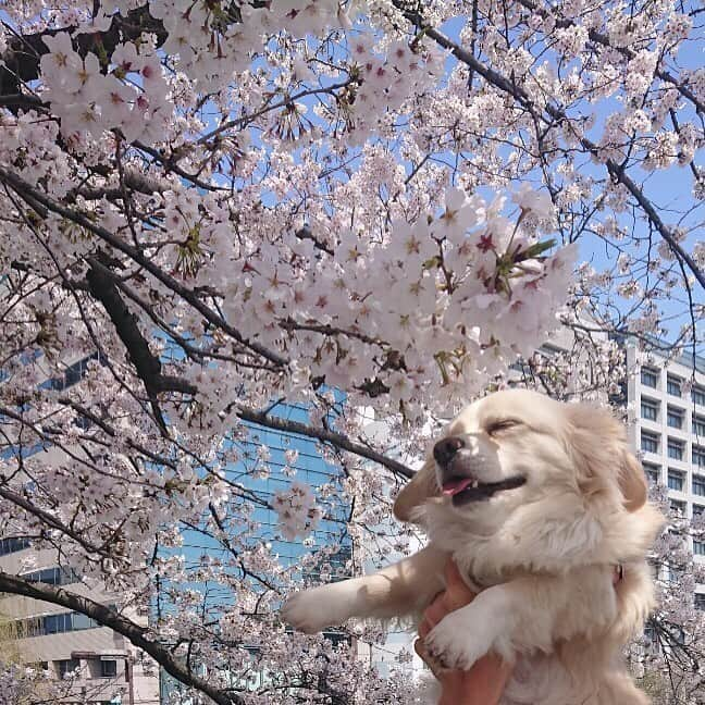 安藤まいのインスタグラム