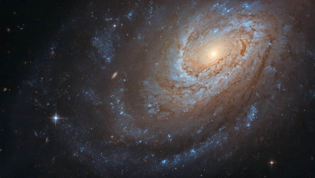 NASAさんのインスタグラム写真 - (NASAInstagram)「This spiral galaxy captured by @NASAHubble may look serene and peaceful as it swirls in the vast, silent emptiness of space, but don’t be fooled — it keeps a violent secret. It is believed that this galaxy consumed another smaller galaxy to become the large and beautiful spiral that we observe today.  #galaxy #nasa #hubble #secret」4月6日 4時15分 - nasa