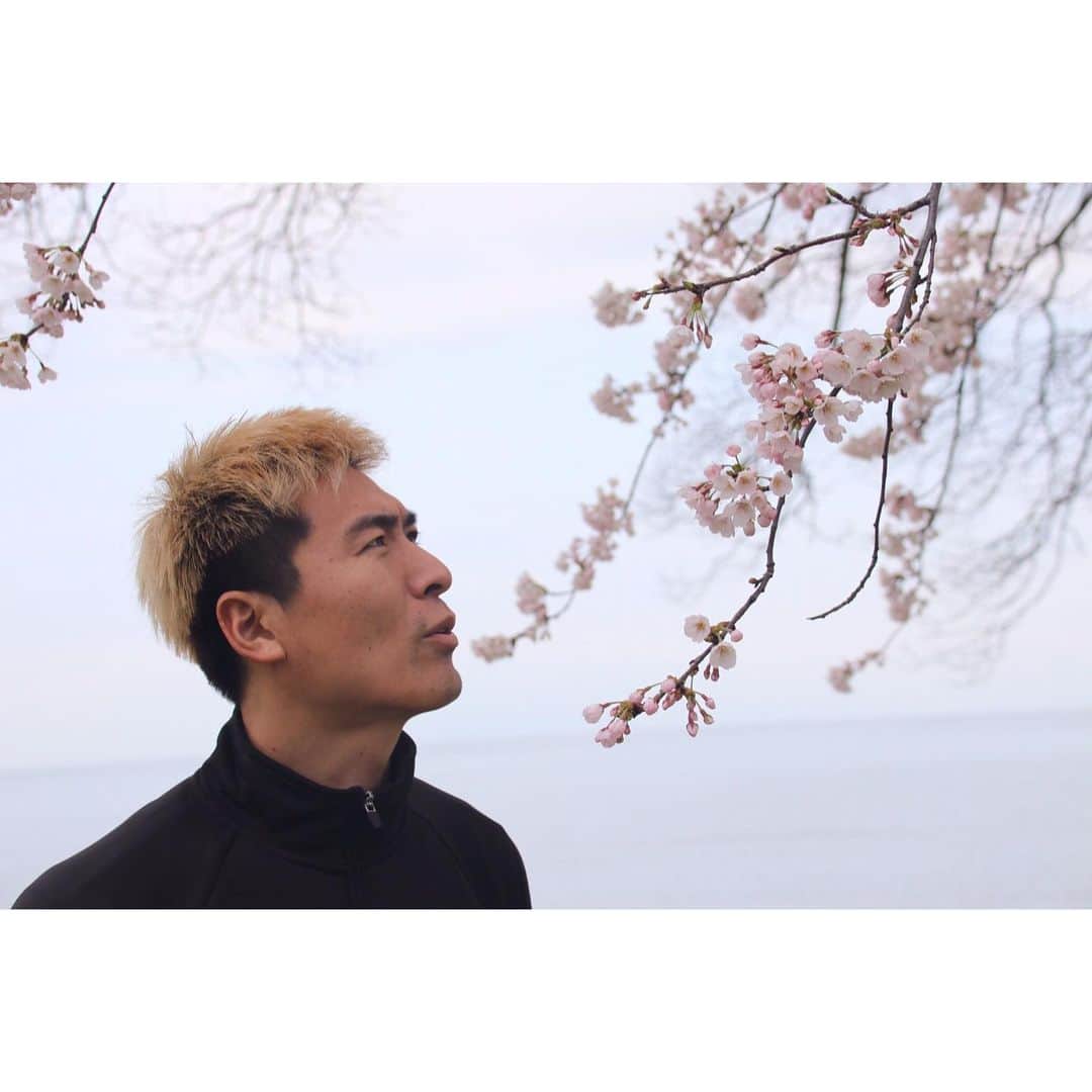 北野貴之さんのインスタグラム写真 - (北野貴之Instagram)「初琵琶湖。琵琶湖の桜。琵琶湖の水。 琵琶湖の風。」4月6日 5時44分 - takashi_kitano