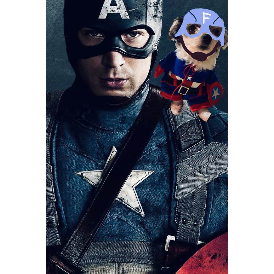 福田琴美さんのインスタグラム写真 福田琴美instagram 大好きな映画キャプテンアメリカ と大好きな風太のコラボ 笑 最近まで待ち受けにしてた 女優 グラビア グラドル グラドル自画撮り部 撮影 サロモ 撮影モデル 水着女子 えちえち ビジョフォ