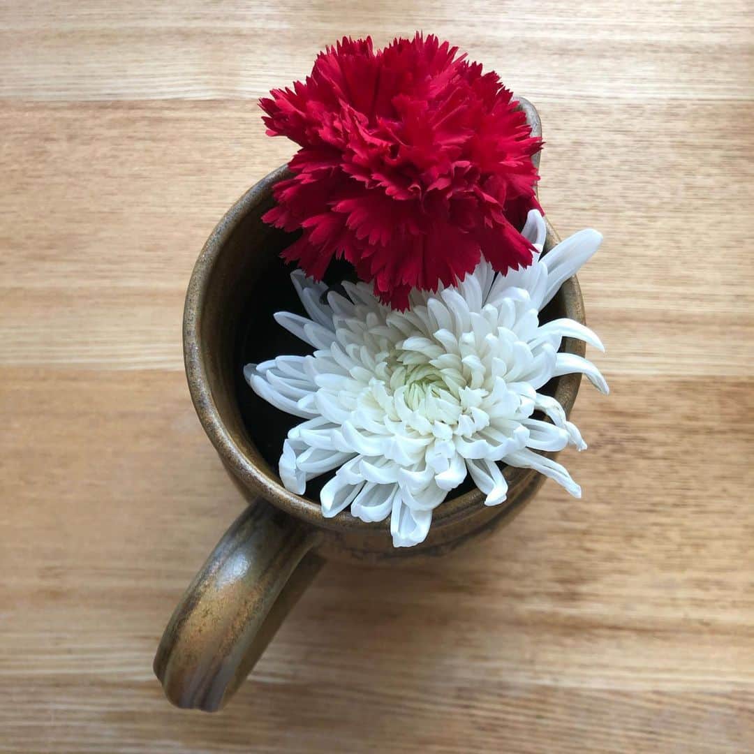 大宮エリーさんのインスタグラム写真 - (大宮エリーInstagram)「昨日、切り分けて あそんだ花たちに 水入れ替え、朝のおしごと #花 #flower #花のある暮らし」4月6日 7時57分 - ellie_omiya