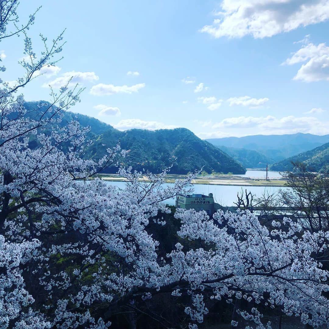 ひうらさとるさんのインスタグラム写真 - (ひうらさとるInstagram)「朝から山の上の公園へ。 城崎一望で日本海も見える！気持ちいいです！ 今週もお家でお仕事、がんばります。 #cherryblossom  #socialdistance  #stayathome」4月6日 10時20分 - marikosatoru