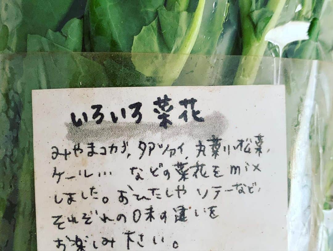 安田美沙子さんのインスタグラム写真 - (安田美沙子Instagram)「ケール🥬で人気な  we are the farmさんのお野菜🌈 . . . 無農薬、無化学肥料で、畑から直送のお野菜。 土が付いてたり、色が鮮やかでみずみずしくて、調理の仕方メモまでつけてくれています。 安心で旬で栄養たっぷりなお野菜。 . . . ヤーコンは初めて食べましたが、生で食べれて、オリゴ糖がたっぷりで、産後にはとてもいいそうです✨甘くてフルーツみたいでした😊 . . . 内側から健康になりたいですね！ サイズはS、M、プレミアムがあるみたいです。ぜひ、皆さんが一生懸命、大切に作られた美味しい野菜を。。。 https://www.zairaifarm.com/our-products」4月6日 10時36分 - yasuda_misako