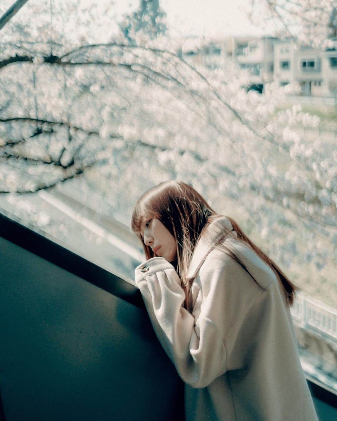 のインスタグラム：「. . . 私は今日もあなたに会いたいという気持ちに蓋をするの。 . 早くまた一緒に笑い合えますように。 . . . . . #indy_photolife #photogram_archive #as_archive #art_of_japan #portrait #filmphotography  #film #good_portraits_world #japan #tokyo #indies_gram #RECO_ig #model #photogenic_jp #screen_archive_ #followme #被写体 #写真好きな人と繋がりたい」