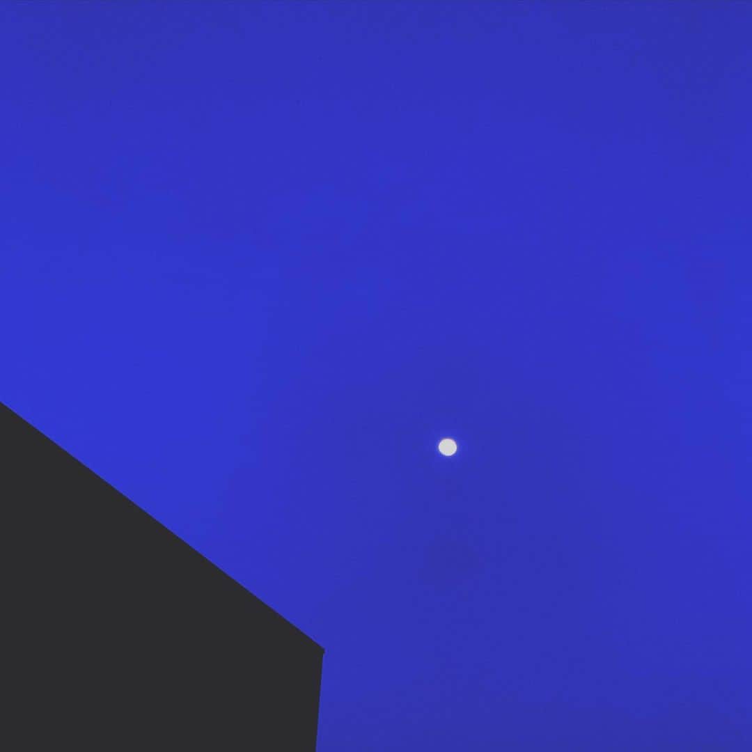 山本真由美さんのインスタグラム写真 - (山本真由美Instagram)「. . まんまる、め🌝✨ . . スーパームーンは ８日らしぃ👀🧀 . . #moon #full  #super #night  #dayandnight  #Astronomicalobservation」4月6日 21時27分 - mayumi_yamamoto.official