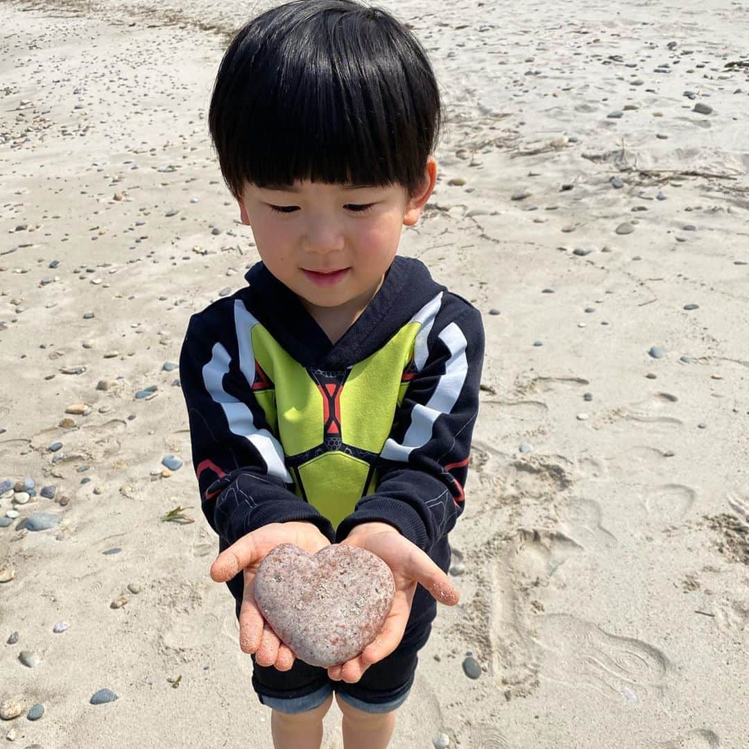 太陽チャンネルのインスタグラム：「ばしゃはいつでもばしゃ。 叱られて『さみしいー😭😭』 って泣く可愛い可愛いばしゃ。」