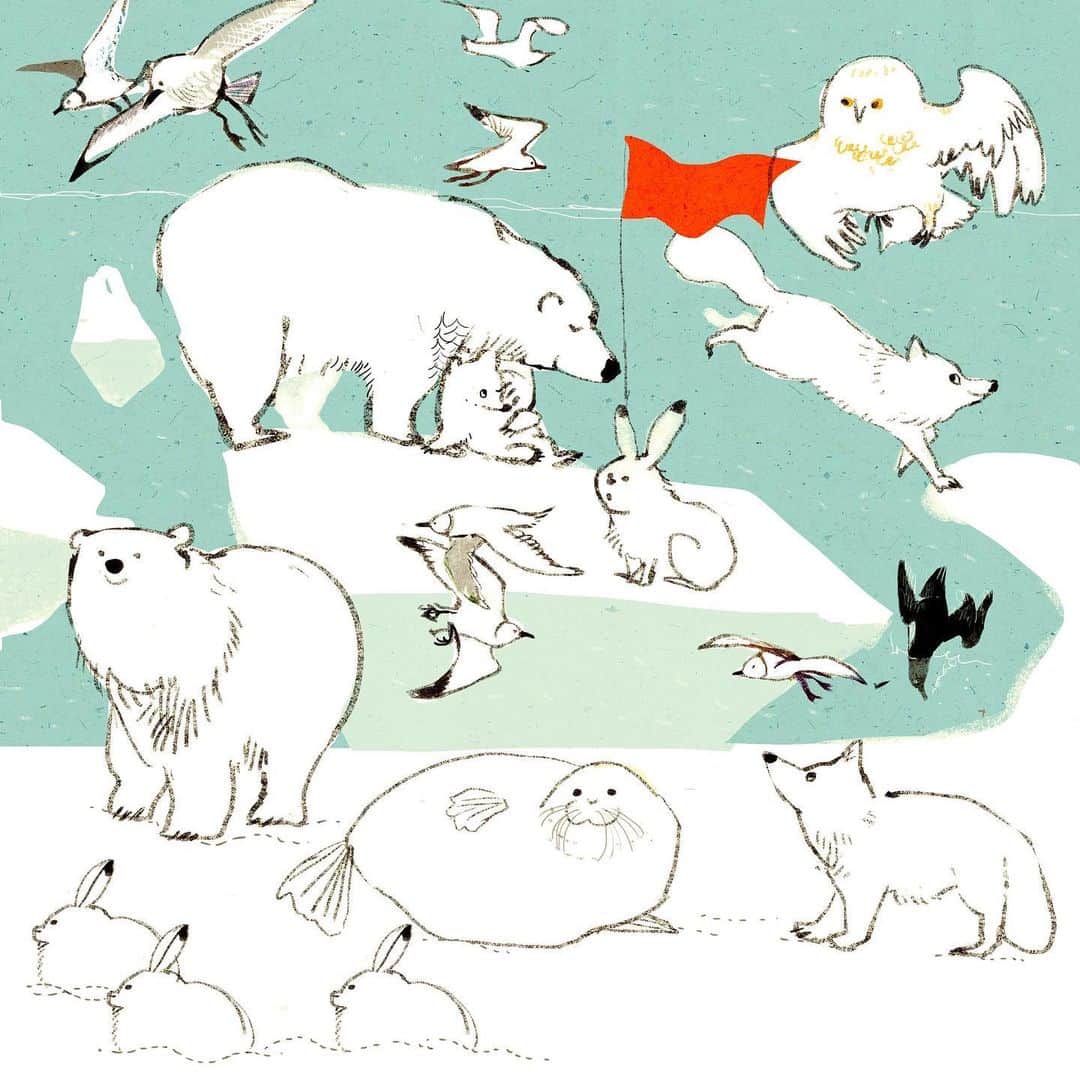 momoroさんのインスタグラム写真 - (momoroInstagram)「北極の日  #polarbear #シロクマ#illustration #momoro#ももろ#イラスト」4月6日 13時05分 - momoro6666