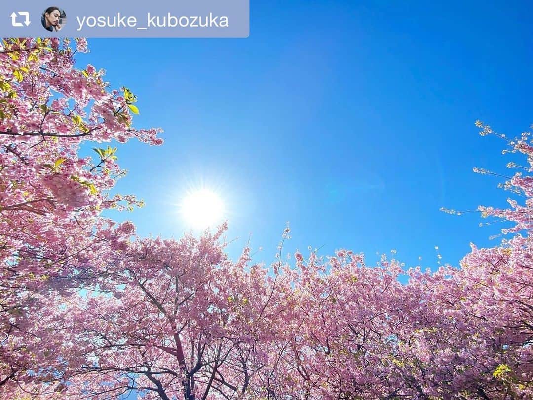PINKYのインスタグラム：「Message from my husband. .  #repost @yosuke_kubozuka .  Because there're less people out, .  the water is getting clearer and fish and swans are coming back,  and the air quality is improving. .  Someone said "Corona was the vaccine and we are the virus" - such a great remark.. .  A crisis can be an opportunity! .  An opportunity we've never had before! .  All is grist that comes to his mill!! .  Let's take this as a chance to make the world a better place!!! .  Photo by Mika Ninagawa . ・・・ ・・・ #ピンチはチャンス #message #窪塚洋介」