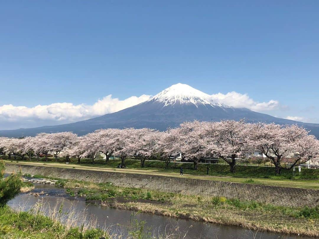 みやざきやすこのインスタグラム