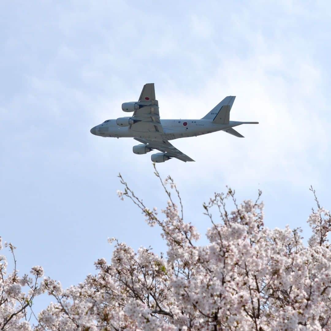 海上自衛隊さんのインスタグラム写真 - (海上自衛隊Instagram)「【バーチャル花見】 新型コロナウイルス感染防止のため、花見を自粛されている方々へ、海上自衛隊が各地の桜の風景をお届けしています。 本日は、厚木航空基地の桜です。 厚木航空基地では、P-1哨戒機、SH-60J/K哨戒機などを運用しています。  #バーチャル花見  #エアー花見  #がんばろう日本 #海上自衛隊」4月6日 14時41分 - jmsdf_pr