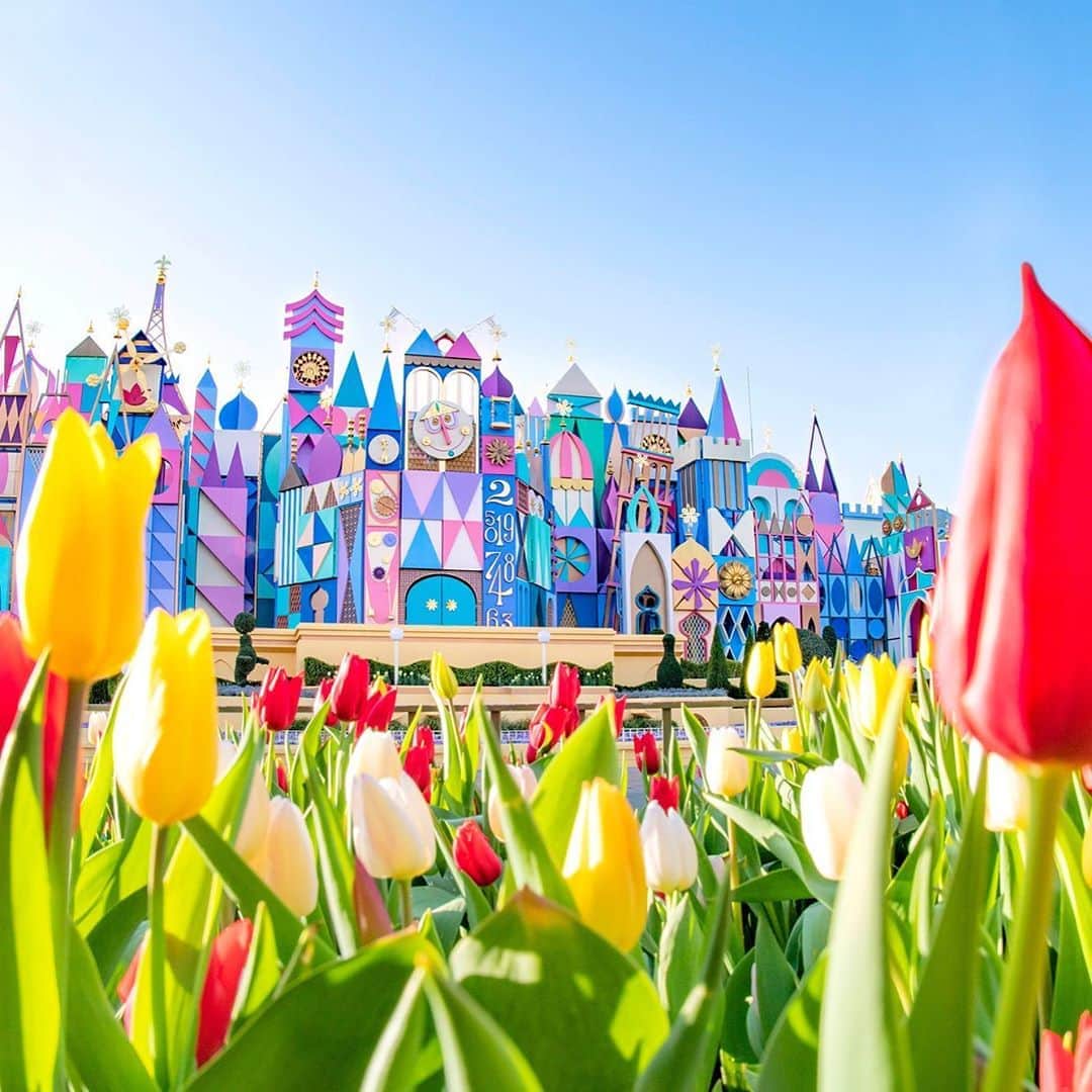 東京ディズニーリゾートさんのインスタグラム写真 - (東京ディズニーリゾートInstagram)「Fantasyland is colored with beautiful tulips! ファンタジーランドから春をお届け🌷✨ #itsasmallworld #fantasyland #tokyodisneyland #tokyodisneyresort #tulips #イッツアスモールワールド #ファンタジーランド #東京ディズニーランド #東京ディズニーリゾート #チューリップ」4月6日 14時46分 - tokyodisneyresort_official