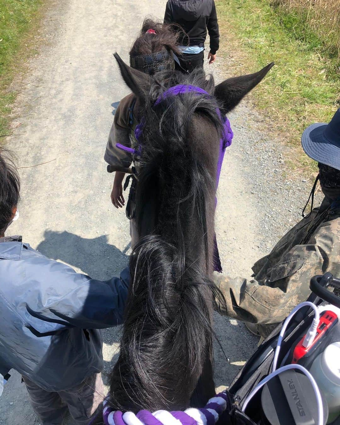 市川海老蔵 （11代目）さんのインスタグラム写真 - (市川海老蔵 （11代目）Instagram)「Going to gallop a horse now. Oh boy. * これから 馬ダッシュです。 大変だ。  #市川海老蔵 #海老蔵 #成田屋 #歌舞伎 #ABKAI #ABMORI #ebizoichikawa #ebizo #kabuki #thunderparty #theater #theaterarts #actor #japan #classic」4月6日 15時37分 - ebizoichikawa.ebizoichikawa