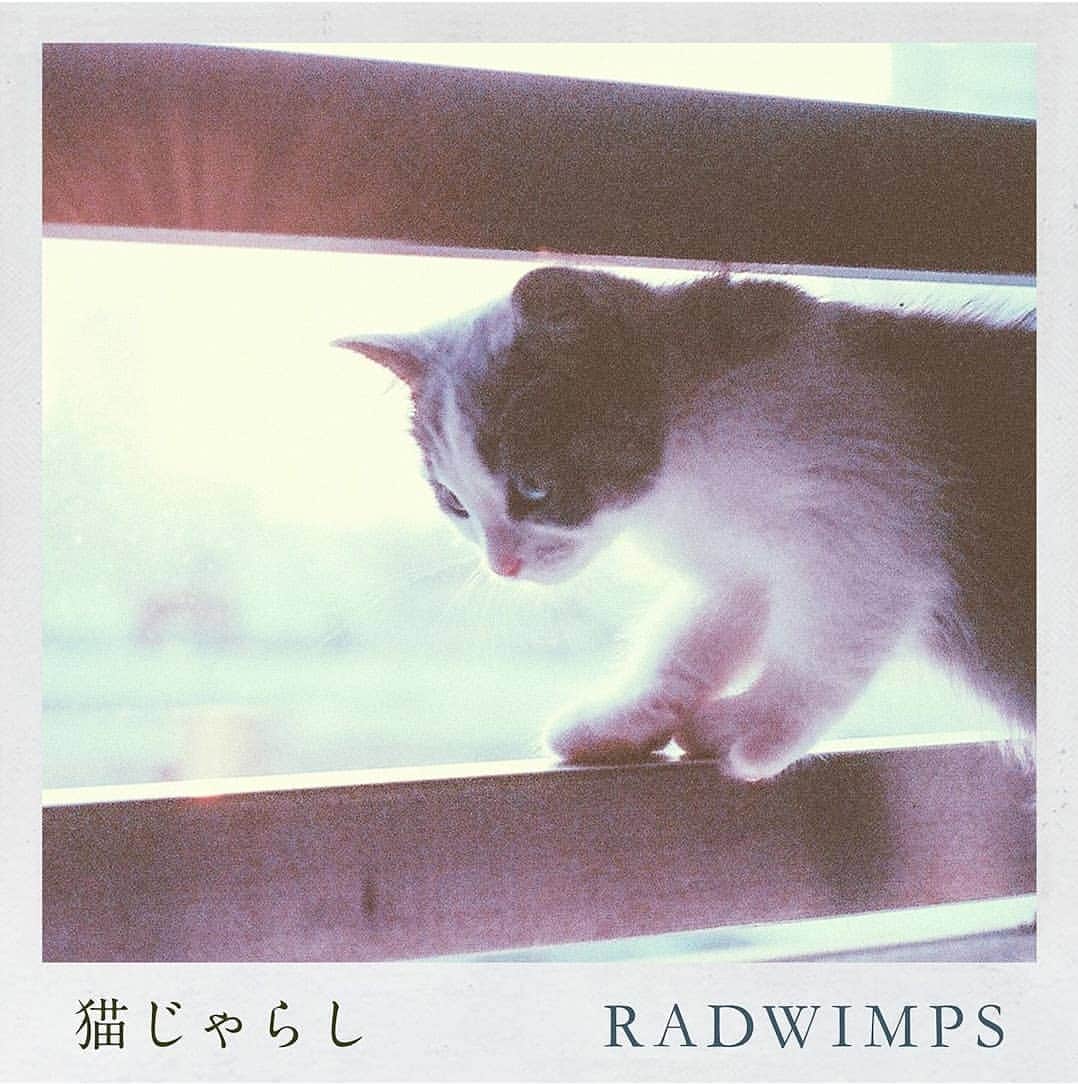 慶元まさ美さんのインスタグラム写真 - (慶元まさ美Instagram)「番組終わって打合せして 大阪へ戻ってます。  イントロからピアノが ホントに素敵すぎる🎵 そこに乗ってくる  #洋次郎 くんの声 この感じ大好き😆💕 「そばにある『幸せ』」を テーマに書き下ろされた楽曲。 CMとは違うバージョンです。  配信スタートしてますよ✨  #RADWIMPS #野田洋次郎 #猫しゃらし #配信 #そばにある幸せ #RADnekojarashi」4月6日 16時14分 - preciousmomentk