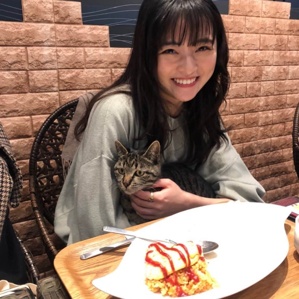 斉藤瑞季さんのインスタグラム写真 - (斉藤瑞季Instagram)「いつかの猫ちゃん🐈 大好きな友達と可愛い猫に囲まれながらのご飯、幸せだったな。 またこうして、友達と会える日が早く来て欲しいね。  #猫  #カフェ #オムライス」4月6日 16時31分 - mii_maricoco