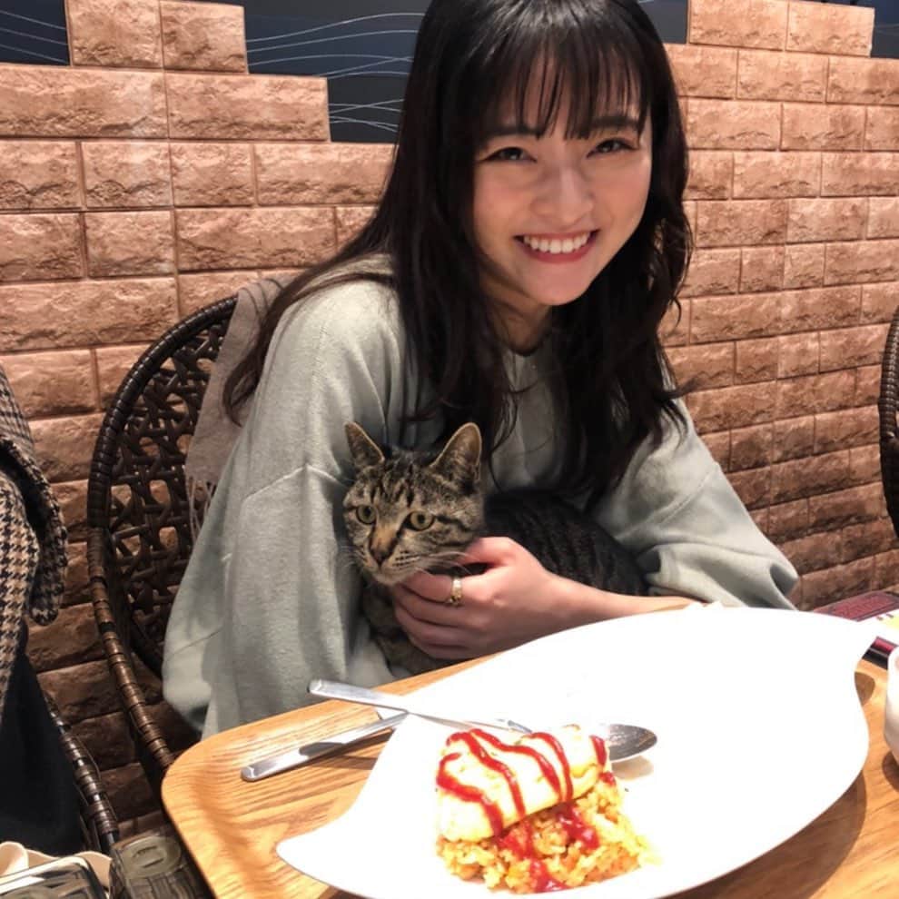 斉藤瑞季のインスタグラム：「いつかの猫ちゃん🐈 大好きな友達と可愛い猫に囲まれながらのご飯、幸せだったな。 またこうして、友達と会える日が早く来て欲しいね。  #猫  #カフェ #オムライス」