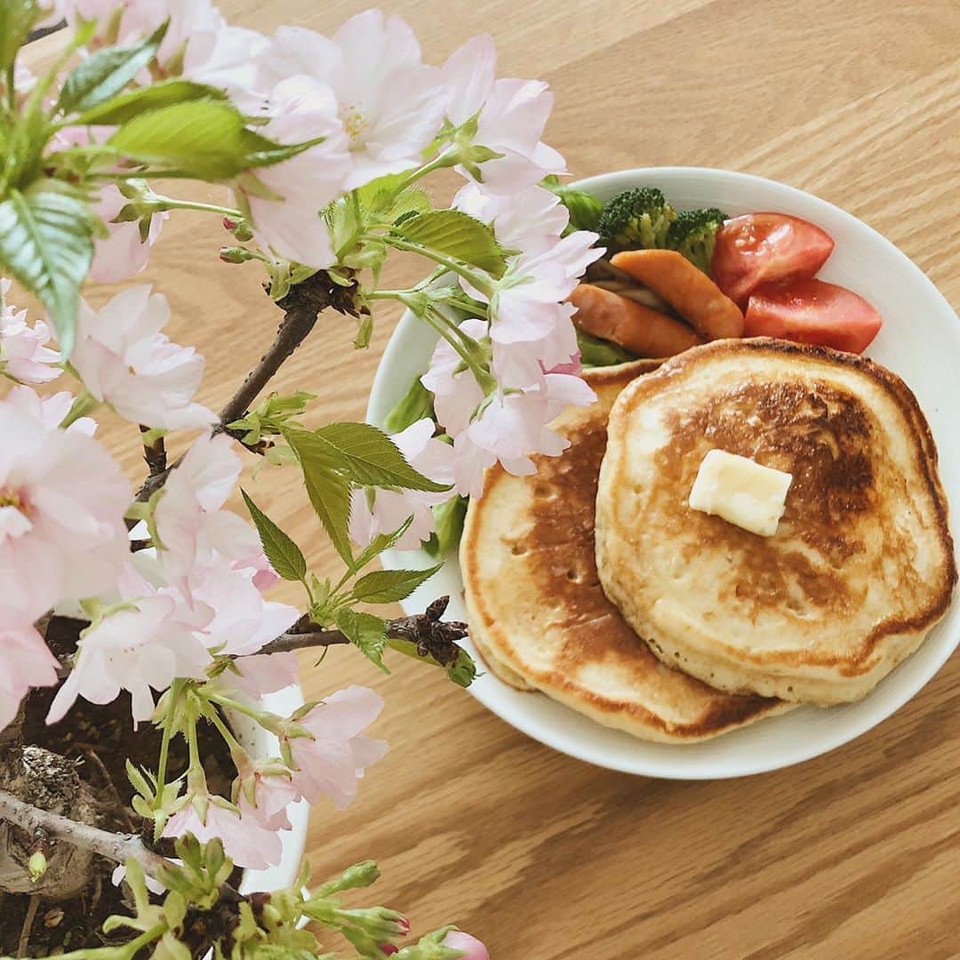 酒匂彩名さんのインスタグラム写真 - (酒匂彩名Instagram)「: このコを迎え入れてよかったなぁ。 咲いてくるのを見てると和みます。 お家ぐらいは気を落とさず暮らしたいですね🌸 : #お家で花見　#ブランチ #お家ごはん #盛り付け下手か　#映えるごはん作りたい　 #stayhome  #japan  #tokyo  #sakura」4月6日 22時11分 - ayanasakoh