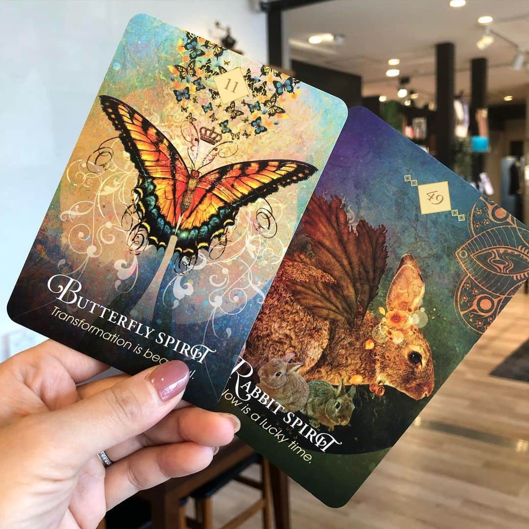 のインスタグラム：「今日のオラクルカード  蝶🦋変化は辛いものではなく、美と喜びを発見しよう✨  兎🐰リスクをとって  #オラクルカード」