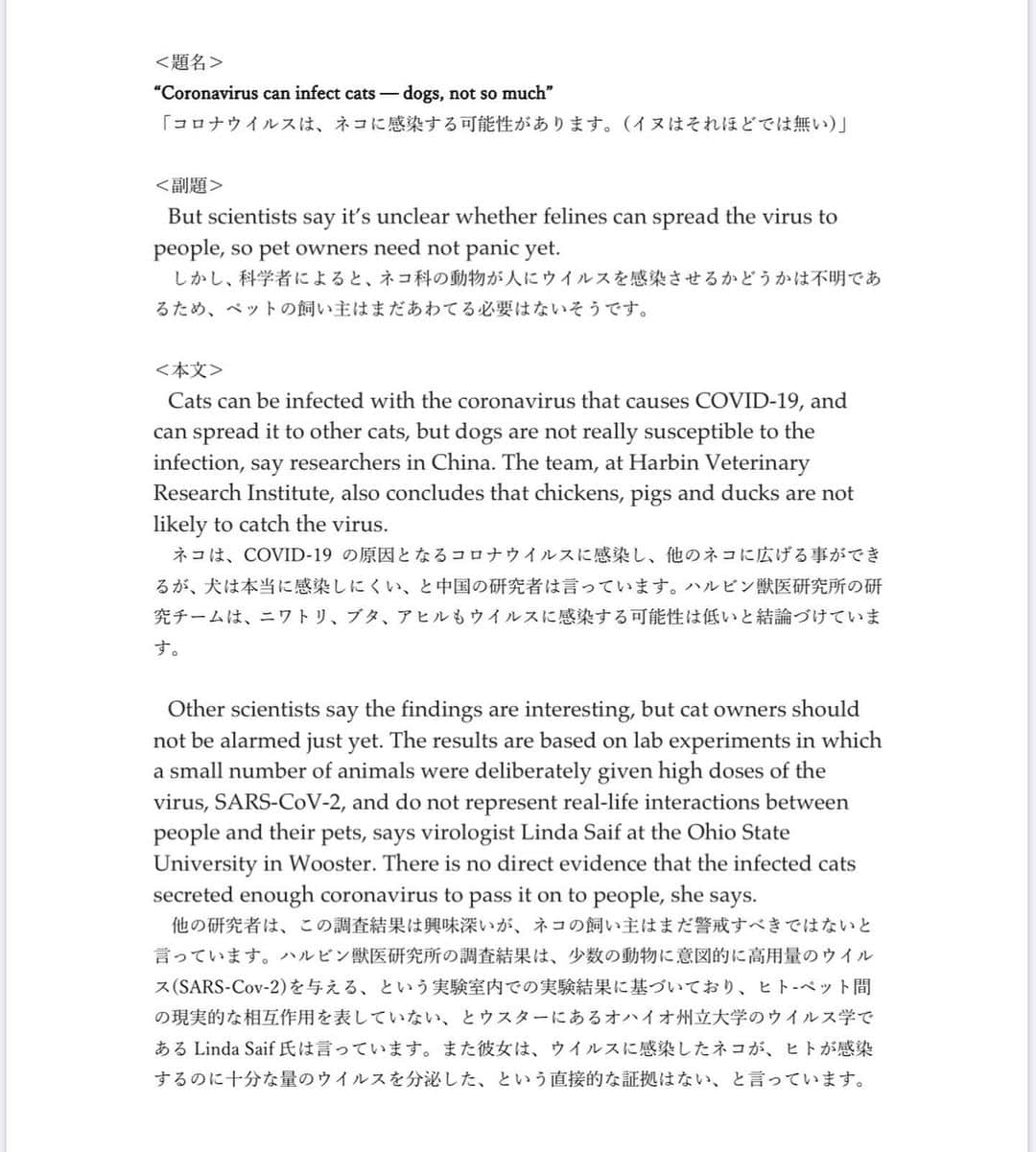 松浦雅さんのインスタグラム写真 - (松浦雅Instagram)「医学生の友人が、 動物(ペット)へのコロナウィルスの感染に 関する海外の信頼できる記事を ( https://www.nature.com/articles/d41586-020-00984-8 ) 日本語に翻訳してくれました。  投稿した画像の文章にもあるとおり、 査読というものがされていないので 必ずしもこの記事が正しいわけではないそうです。 しかし、世界的に有名でかつ、権威のある Natureという雑誌の公式HP内の記事だということで 非常に信頼できるということでした。  彼女がインスタグラムへのシェアを許可してくれたので、 ここに投稿します。 4/1に掲載されているものですし、最新の情報かと。 是非参考になさってください。 . フェレット・猫を飼われている方は 特にご覧になったほうが良いかと思います。 . そして、この文章には 動物実験の結果なども書かれてあります。 動物実験についてを全く目にしたくない方は 閲覧を避けていただければと思いますが、 私個人としては、ヒトと動物の共存のため、 この実験に使われた命に感謝して この知識を得て、出来るだけ多くの方が 日常に生かすことが一番良いのではと思っております。 (全ての動物実験を肯定する訳ではありません。 出来る限り代替法になることを希望します。) . 様々な情報が飛び交い、日本全体が混乱している状況です。 特に動物の感染に関する記事は 情報元が曖昧なのにも関わらず 「動物にも感染する」と言い切っている記事等も多く、 ペットがいる家庭は非常に不安だと思います。 . 出来る限り信頼できる記事をシェアしたく このような投稿をさせて頂きました。 翻訳してくれた、医学生の友人がいなければ、 私もこのような情報は得られませんでした。 彼女に心から感謝します。 皆様が、安心して過ごせますように、お祈りしてます。 私も細心の注意を払い、毎日を過ごします！ . #ペット #動物 #動物への感染 #コロナウィルス #コロナ #COVID19 #猫 #ネコ #ねこ #ねこすたぐらむ #犬 #イヌ #いぬ #いぬすたぐらむ #フェレット #鶏 #ニワトリ #にわとり #豚 #ぶた #ブタ #アヒル #あひる #nature #ペットへの感染」4月6日 17時43分 - m.miyabi614