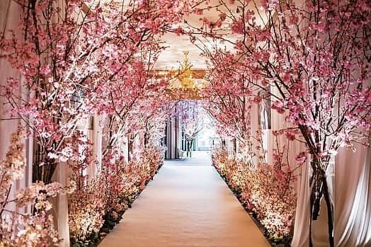 The Ritz-Carlton, Tokyoのインスタグラム
