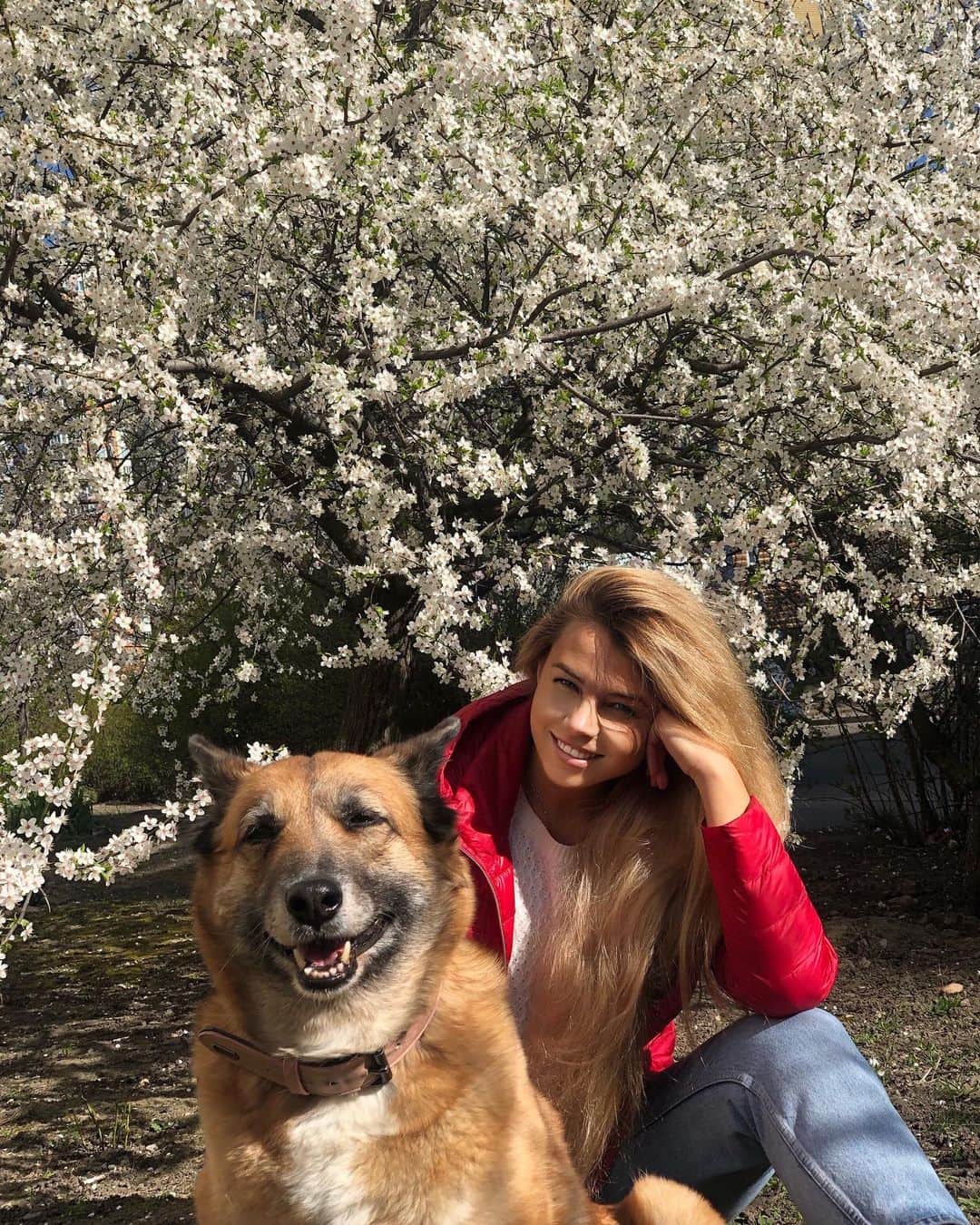 Kristina Kots Gotlibのインスタグラム：「Четвёртый раз на выгуле , поэтому пока улыбчивые))) #кристинакоцготлиб #люблюсобак #собачки🐶 #dogs #dogslife #карантин」