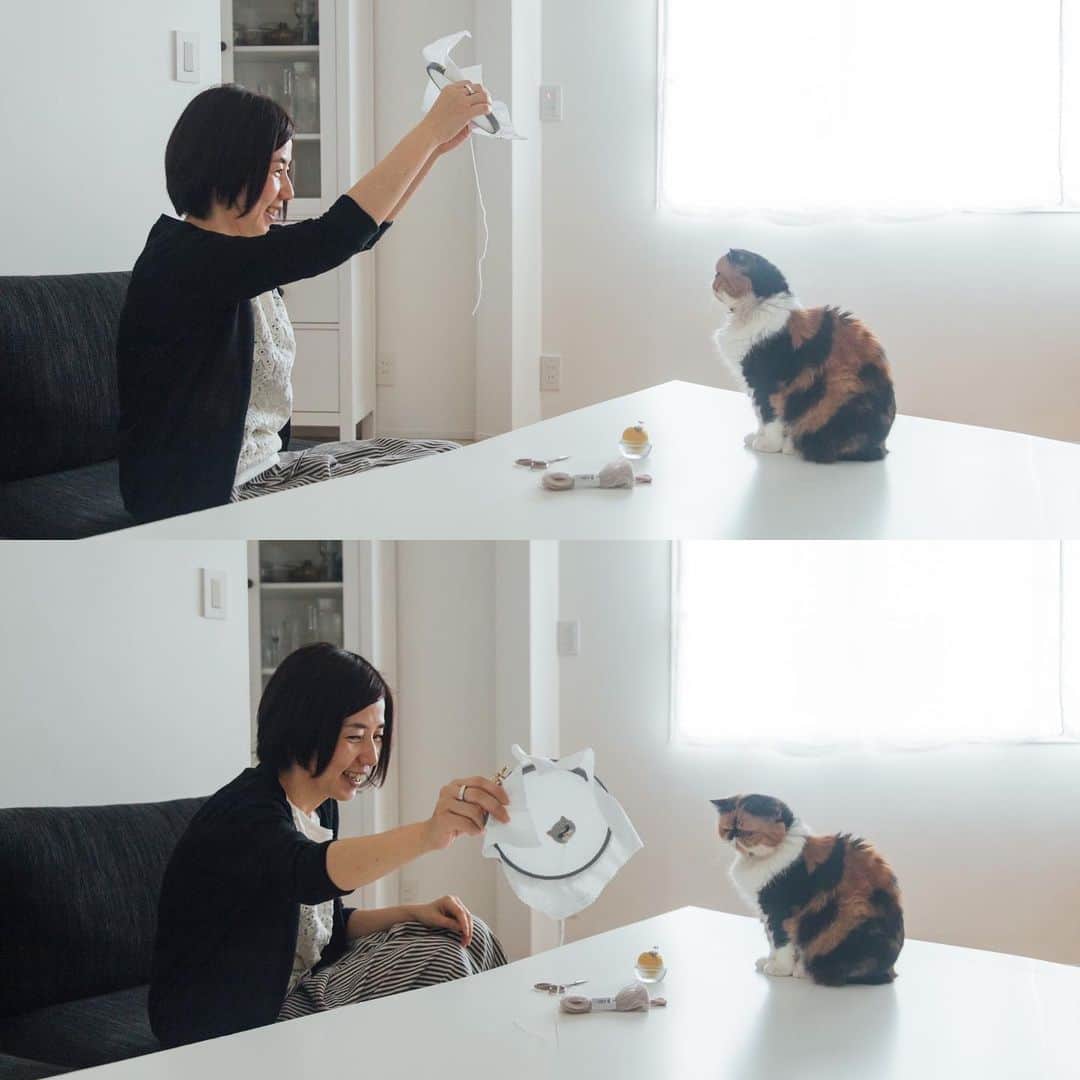 清水桜子さんのインスタグラム写真 - (清水桜子Instagram)「『フェルトと刺繍のいろんな猫』﻿ イメージカット撮影中のカオルちゃん、ふく&めめ。﻿ ﻿ 撮影に参加する気満々なくせに、﻿ 構うとなぜか怒るめめと、﻿ 視線をあびて終始ごきげんなふく。﻿ ﻿ こんな感じでうちの猫らも本のどこかに﻿ ちょいちょい登場しています。﻿ どの写真が実際の書籍に使われたのかは、﻿ 実際のページをを見てみてね。﻿ ﻿ #フェルトと刺繍のいろんな猫﻿ #アウトテイクカットをご紹介﻿ #最後のカットはおまけだよ﻿ ﻿ ＊﻿ ﻿ 早くも本をご購入いただいた皆さん、﻿ 作品を作ってくださっている皆さま、﻿ 本当にありがとうございます！﻿ 是非タグを付けて感想などお聞かせくださいね。﻿ レビューをいただけると励みになり、とても嬉しいです😭﻿ ﻿ — info —————————————————﻿ 『フェルトと刺繍のいろんな猫』﻿ @ahoyembroidery （著）／講談社﻿ https://www.amazon.co.jp/dp/4062208571﻿ （@ahoyembroidery プロフィールにリンクあります）﻿ ————————————————————﻿ ﻿ #ahoyembroidery #アホイエンブロイダリー﻿ #刺繍 #フェルト刺繍 #刺繍本 #講談社 #cat ﻿ #catembroidery #handembroidery #embroidery ﻿ #embroider #embroidered #handmade﻿ #handstitch #猫刺繍 #newbook  #stayhome ﻿ #stayathome #おうちじかんを楽しもう」4月6日 18時43分 - sakuracos