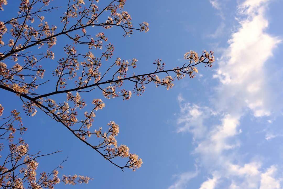 関沢圭司のインスタグラム