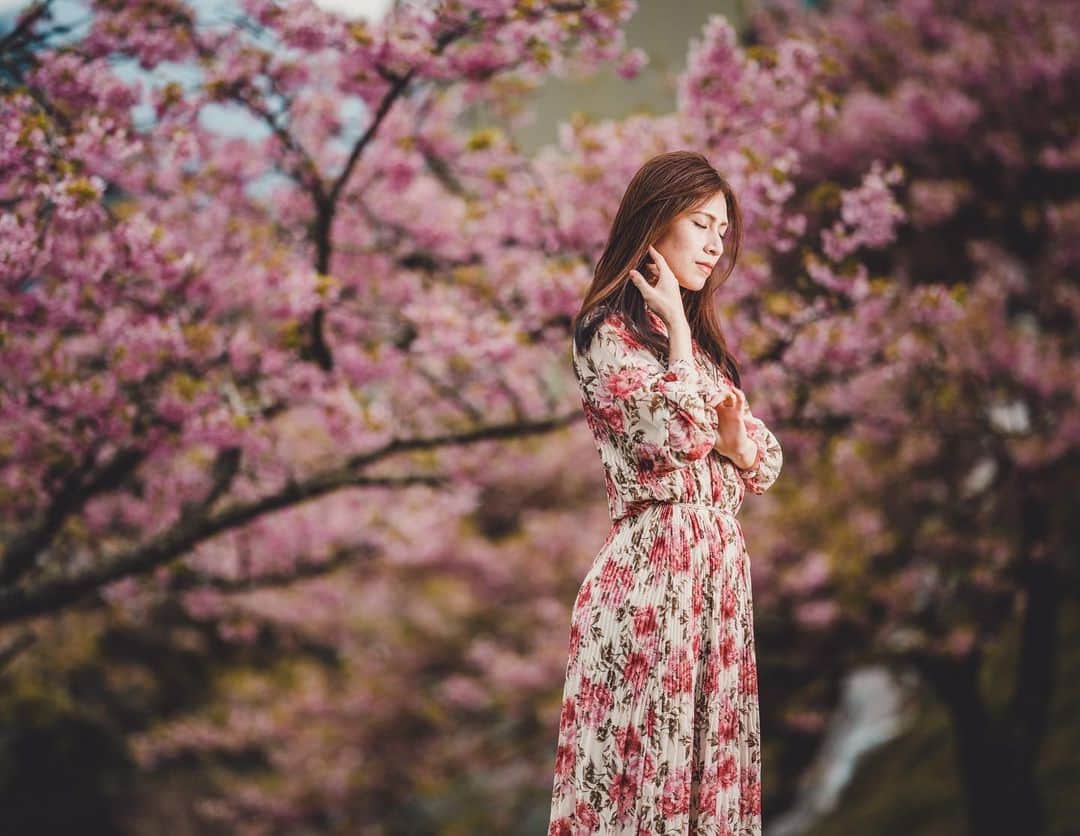 イルコ光の魔術師のインスタグラム：「今日もアップでーす❗️もうちょっと春シリーズアップします❗️桜でポートレート🌸大好きなSigma 135mmの　f/1.8で撮影、当然フル開放です❗️右からストロボ1灯でライティング❗️. . モデル: Mari . . 新しい @ilkomobile アカウントにiPhoneで撮ってるポートレートもアップしますよ！いい光があればカメラ&レンズはなんでもいいと思います . . #ストロビスト #ポートレート #花見 #135mm #Sigma #instagramjapan #青森 #東京カメラ部 #ig_today #igersjp #tokyocameraclub #instalike #instagramhub #team_jp_ #vscogoodshot #strobist #strobistlighting #portrait_perfection #iphonephotography #イルコ #光の魔術師 #桜 #instagramhub #カメラ女子 #iphoneography  #lovers_nippon #ファインダー越しの私の世界 #写真好きな人と繋がりたい #portrait」