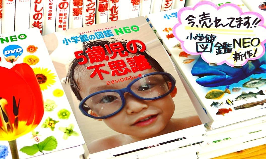 清野紗耶香さんのインスタグラム写真 - (清野紗耶香Instagram)「平積みされてるよ🎵 売れてるみたい🎶 . . 😂 #小学館図鑑neo 📚 . . #5歳児の不思議 #小学館図鑑neoメーカー  #5歳#まめちょびん #おうち時間 #イットママ  #ママリ#ママタス#コズレ#キズナ  #ig_oyabakabu #millymilly  #hugkum #ikumama #コドモダカラ #ままのて #子育てぐらむ#コドモノ #こどもと暮らす#いっぱい遊ぼう #おっきくなろう #ベビヨリ#ベビヨリカレンダーキッズ#はいチーズ #mamano #comona  #mamanoko #love_kodomo_japan」4月6日 19時55分 - seino_sayaka