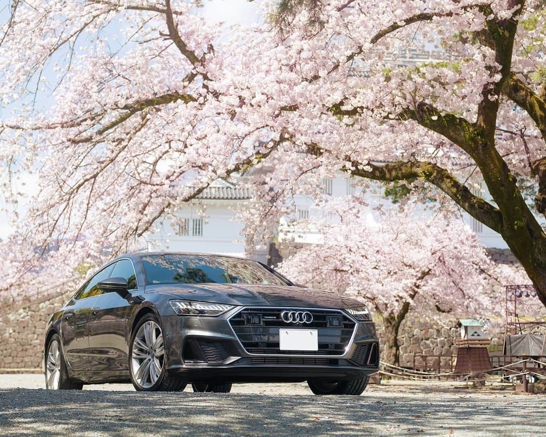アウディ ジャパンさんのインスタグラム写真 - (アウディ ジャパンInstagram)「美しい国、日本。 四季折々の豊かな自然、そして私たちの伝統と文化が織りなす、美しい風景。 来年は、咲き誇る満開の桜の下で逢いましょう。  #エア花見 #花見 #おうち時間 #stayhome #桜 #cherryblossoms #Audi #A7 #AudiA7 #アウディA7 #Audijapan #アウディ #carwithoutlimits #carsofinstagram #Audiworld #Audigenic #車好きな人と繋がりたい #神奈川 #小田原 #小田原城」4月6日 20時10分 - audijapan