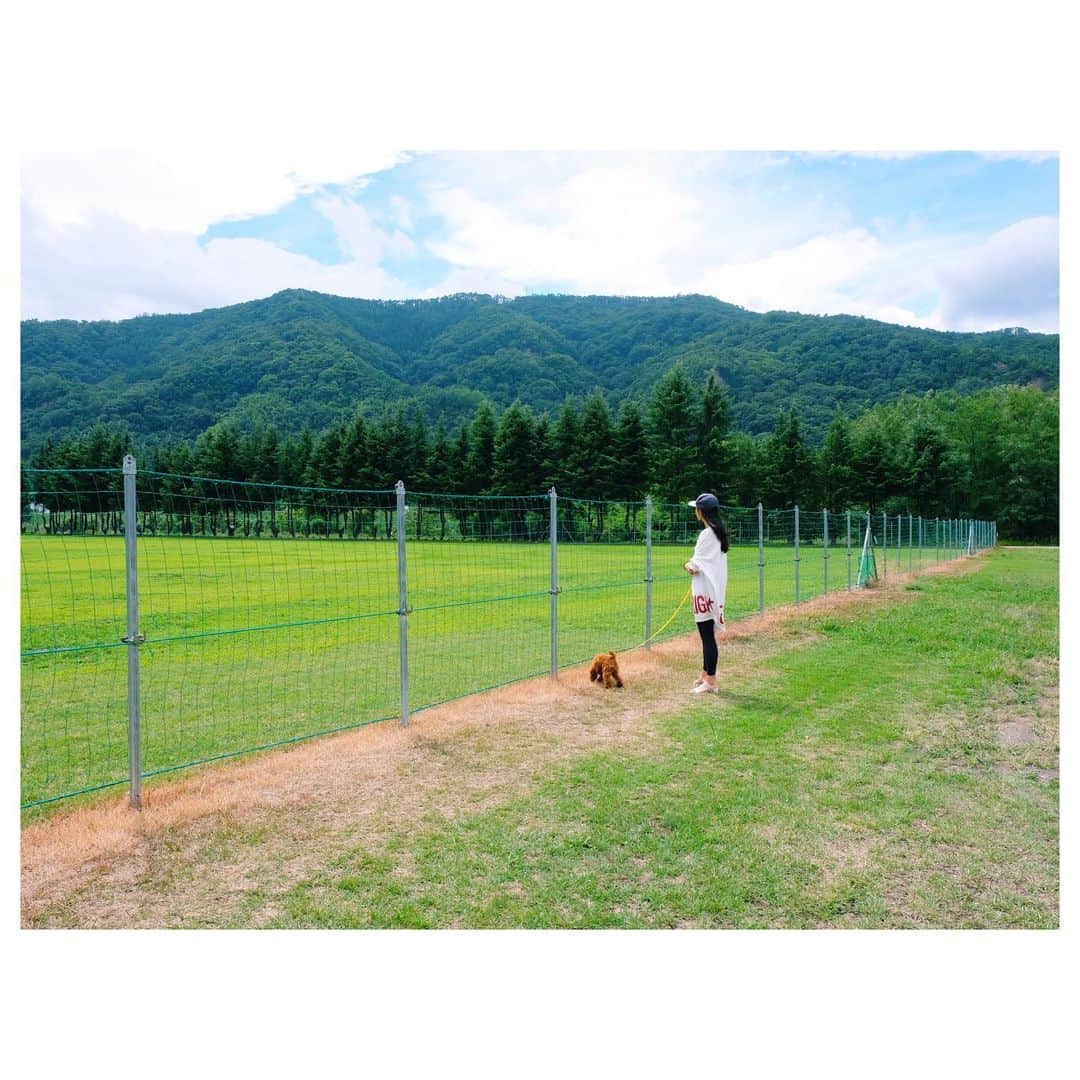 林恵理さんのインスタグラム写真 - (林恵理Instagram)「早く穏やかな日常に戻りますように！ . . #toypoodle #poodle #dog #dogstagram #inustagram #followme #instagood #nagano #ueda #トイプードル #いぬすたぐらむ #犬好きな人と繋がりたい #エブリドッグ #犬のいる暮らし #長野県 #上田市 #過去スタグラム」4月6日 20時19分 - eri_rin.215