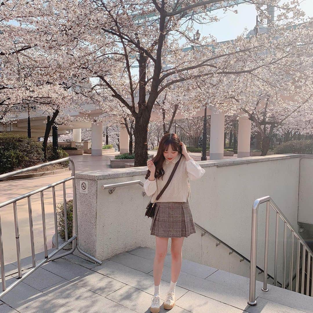 ユンジュさんのインスタグラム写真 - (ユンジュInstagram)「벚꽃나무 아래서 📮」4月6日 20時19分 - __pink_tape