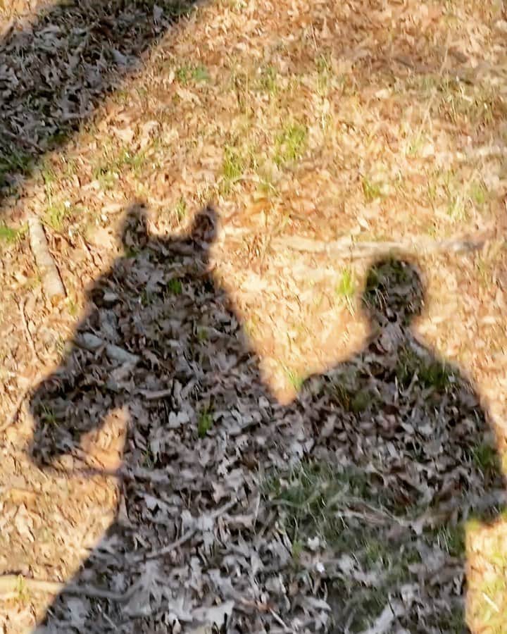 のインスタグラム：「💚🙏🍂🌞」