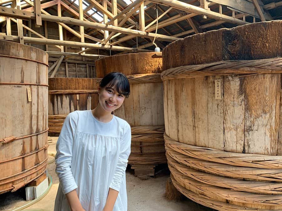 鈴木あすなのインスタグラム：「昔ながらの製法で丁寧に作られているたまり醤油。 . 念願の#南蔵商店　さんへ取材へ行かせて頂きました。 . 南蔵商店さんは、名古屋から車で約1時間、武豊町というところにあります。 . 創業当初からの木桶が並ぶ圧巻の蔵。良い菌たちがたくさん住んでいる木桶はとてもいい香り、外からは大豆を蒸している香りも。呼吸するだけで幸せな場所でした。 . 仕込みたてはしょっぱいけど2.3年熟成していくと大豆の旨味が強く出てとても濃く深くまろやかになるそう。 贅沢にも木桶に入っている出荷間近なお醤油を味見させてもらいました。お、美味しい、、、！ . たまり醤油と聞くと色も味も濃いイメージがありますが南蔵商店さんの作る「なじみ」というお醤油は薄めに仕上げてあるので、どんなお料理にも相性が良いのでたまり初心者にはオススメ。 . たまり醤油はうまみが強いのが特徴なので、少量で味が決まるのも嬉しい！ 色が濃いけど塩分は普通のお醤油に比べて控えめで、栄養価も高い。 . 旬の野菜をシンプルに美味しく食べたい私には欠かせない調味料のひとつです。 . 大豆100%で小麦を使用しないので、グルテンフリー需要も高まっているのだとか。 . 我が家では、ベースはたまり醤油、色をつけたくないお料理には小麦100%のこれまた地元の#しろたまり を使っています。 . 天然醸造で手間暇かけて作られた調味料は本当に美味しいので、あれこれ調味料を使わなくなり、結果金額はあまりかわらないのかなとも思います。 . 早速帰宅後にお料理に使用。蔵を見させてもらい、お話を伺い、より一層美味しく感じました。 手間暇かかってこのお醤油が作られていることに感謝して、お料理の時間がより豊かになりそうです。 . 取材の様子、詳しくは月刊紙Cheekをご覧下さいね。 . #豊かな暮らし#南蔵商店#地元自慢#愛知の醤油#たまり醤油#こだわり調味料」