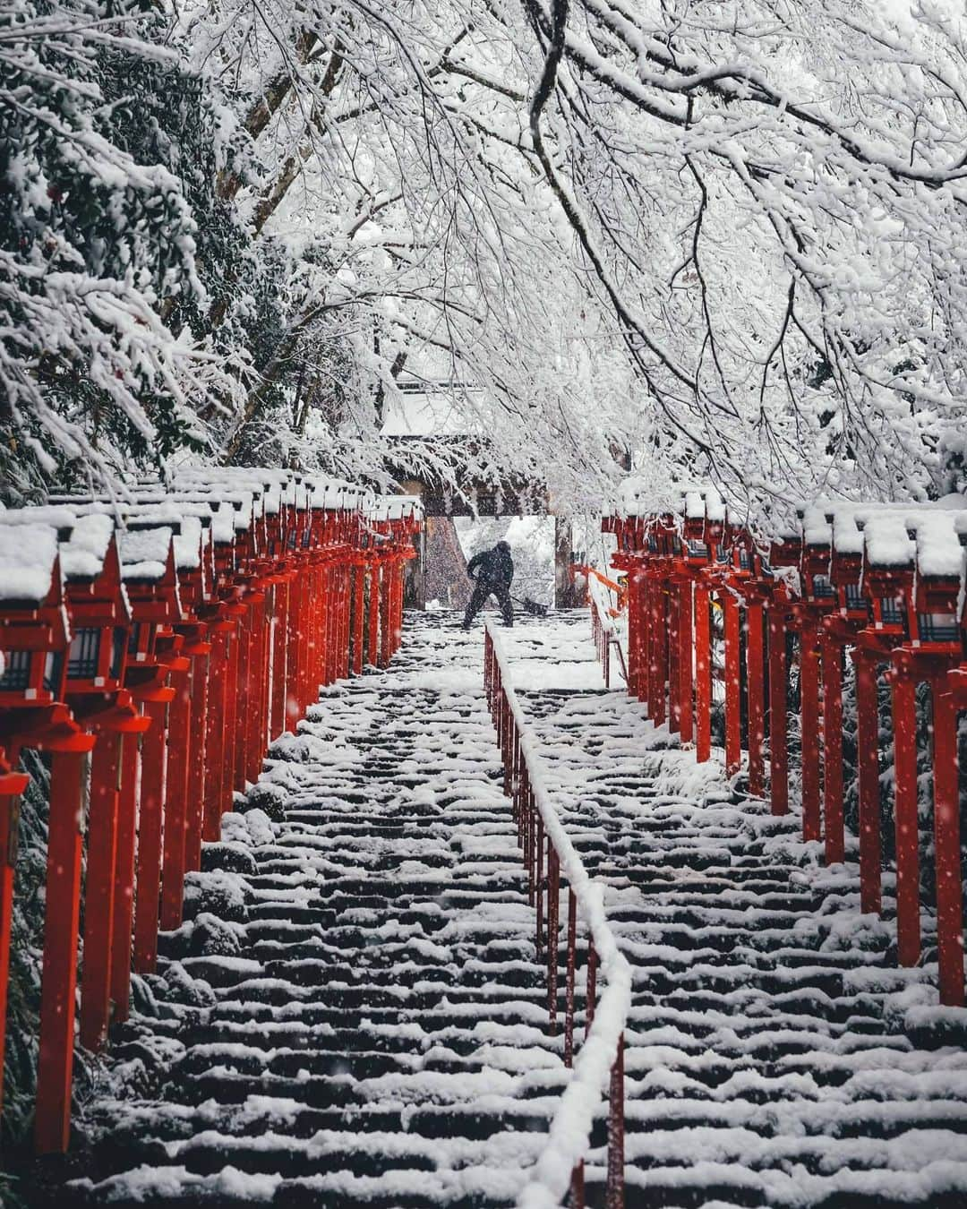 Takashi Yasuiさんのインスタグラム写真 - (Takashi YasuiInstagram)「Re-edit #StayHome」4月6日 22時39分 - _tuck4