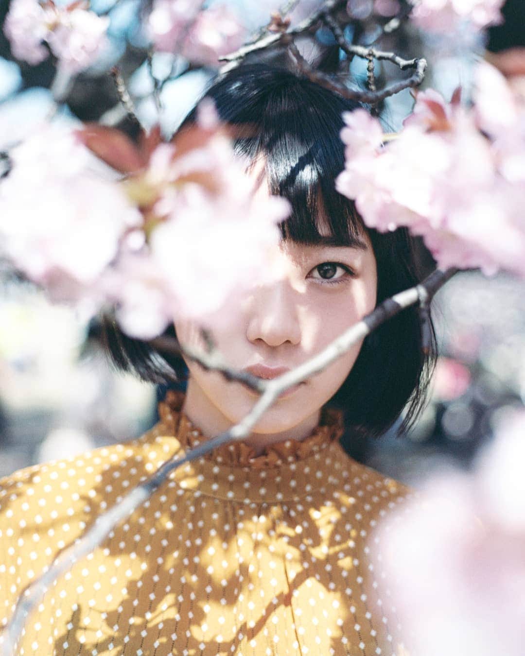 young ho seoのインスタグラム