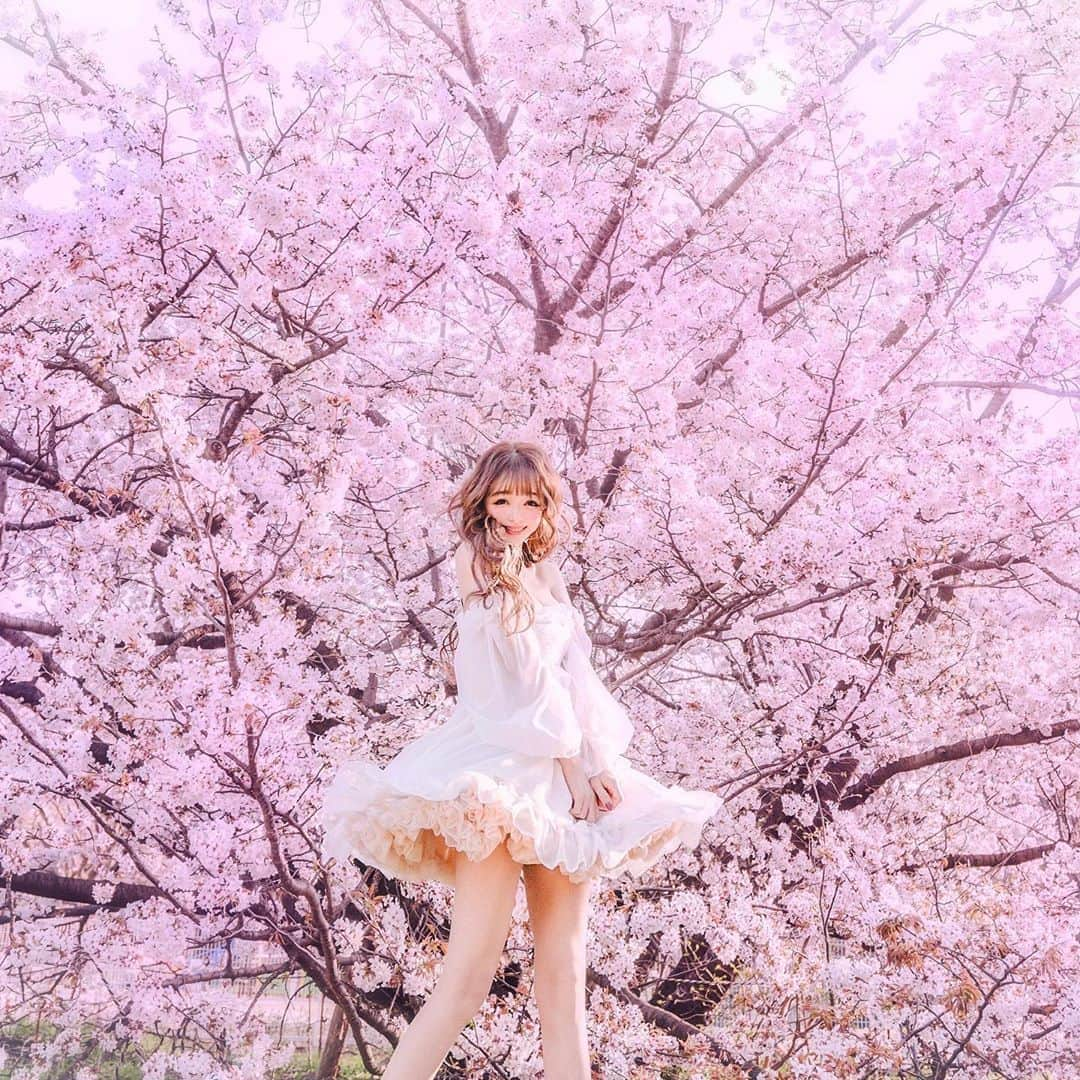 真優川咲さんのインスタグラム写真 - (真優川咲Instagram)「#🌸#🍓#🍃#👗#🎀 💫✨ ❀ I#Love #Cherryblossom 🌸 ❀ ❀ お気に入りすぎる💗💗 【@riina_couture 】#純白 #ワンピース 👗💫✨ #ちゅちゅ を仕込ませて.. 🍃🌪 #マリリンモンロー みたいになった 🙈🌸 ❀ 今週も1週間 #starting〜 😘🍎 #美意識強化 で頑張ろうね ✨💕🥰🌸 #桜 #きゅん #pink #女子力 #美意識 #咲to桜🌸」4月6日 23時15分 - saki_411